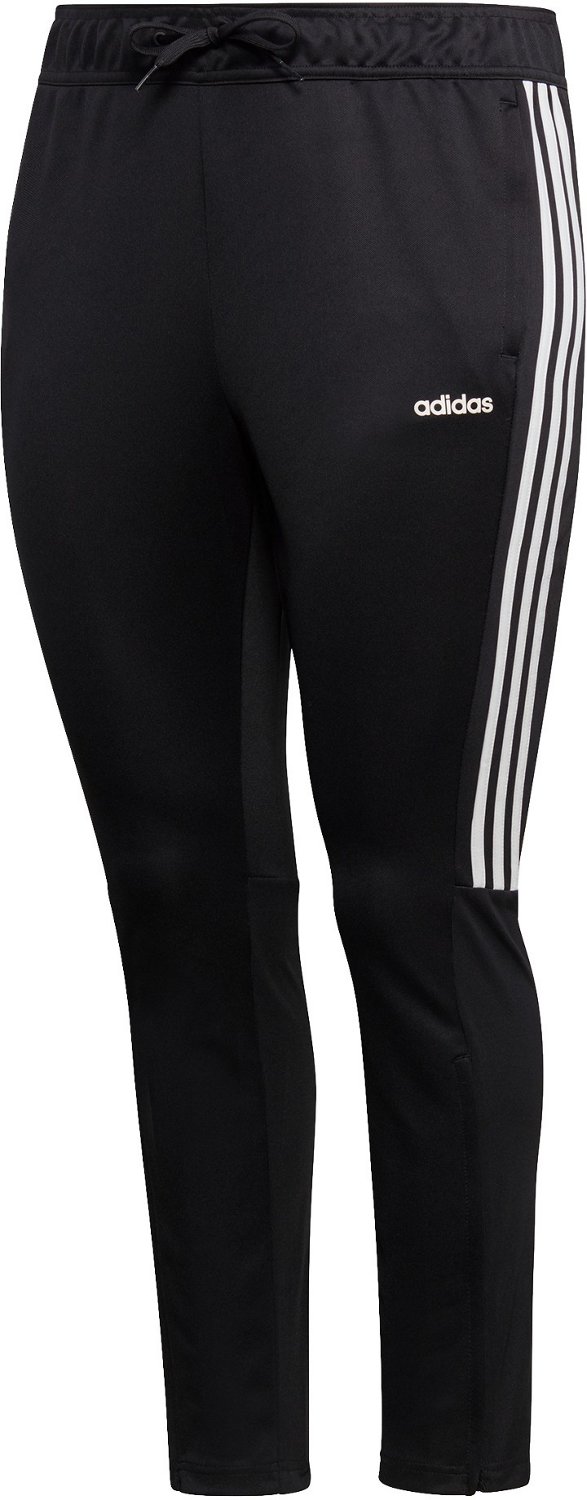 sereno 19 training pants