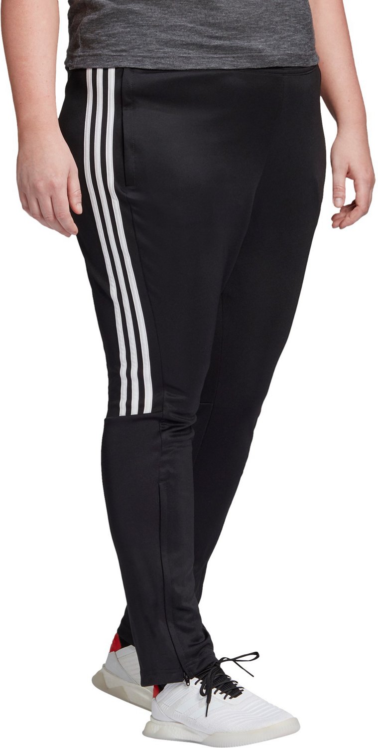 sereno training pants