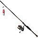 Daiwa Aird X Laguna 6 ft 6 in M Spinning Combo                                                                                   - view number 2 image