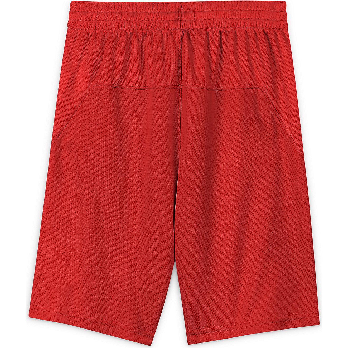 Nike Boys' Dri-FIT HBR Shorts                                                                                                    - view number 2