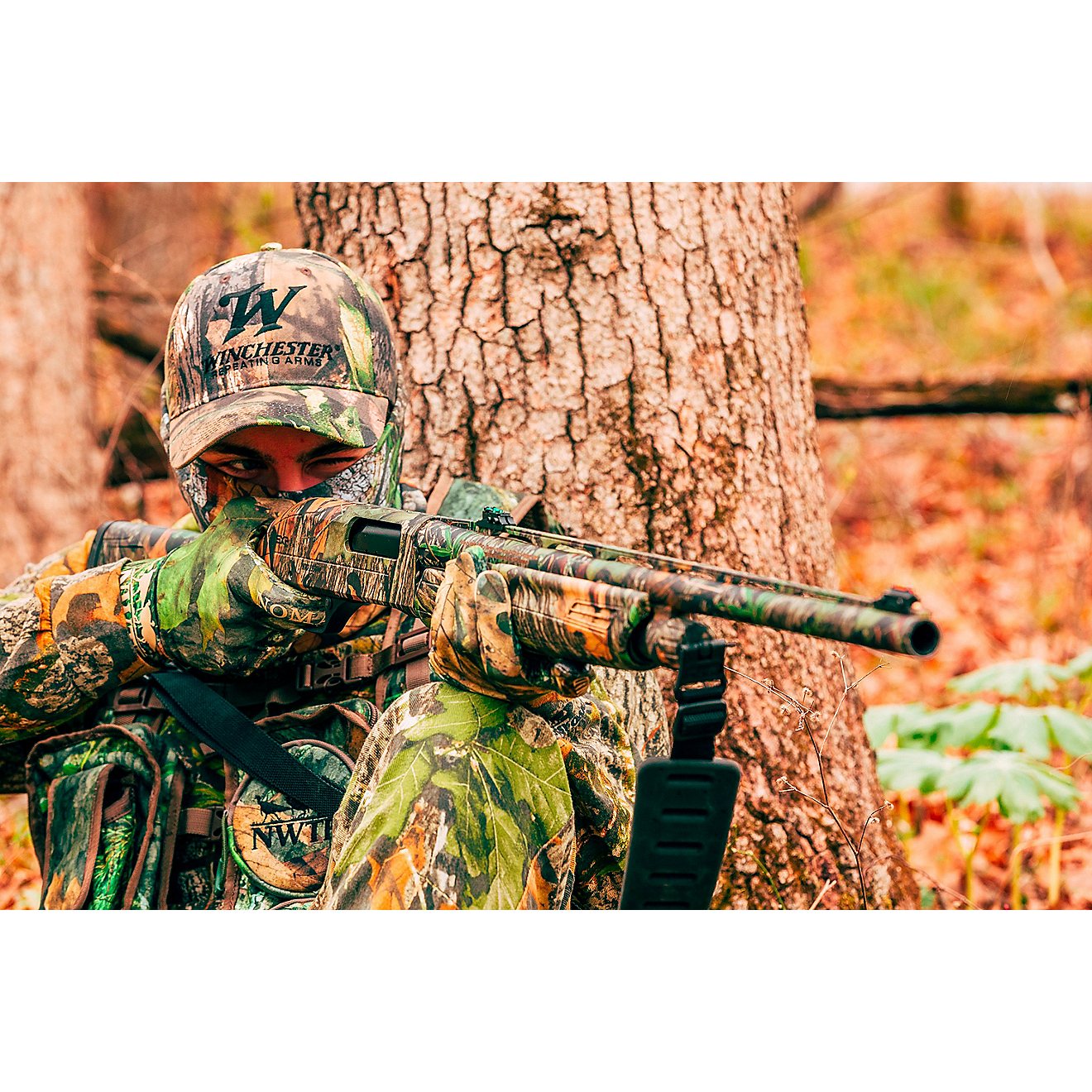 Winchester SXP NWTF Turkey Hunter Mossy Oak Obsession 3.5C 24IN 12GA Shotgun                                                     - view number 4
