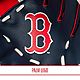 Franklin Kids' Boston Red Sox MLB Team Glove and Ball Set                                                                        - view number 5 image