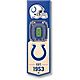 YouTheFan Indianapolis Colts 6" x 19" 3-D Stadium Banner                                                                         - view number 1 image