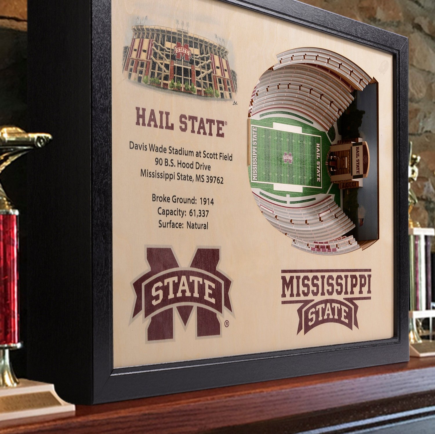 YouTheFan Mississippi State University 25Layer StadiumViews 3D Wall
