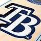 YouTheFan Tampa Bay Rays 6 x 19 in 3-D Stadium Banner                                                                            - view number 4 image