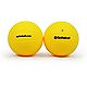 Spikeball Replacement Balls 2-Pack                                                                                               - view number 1 image