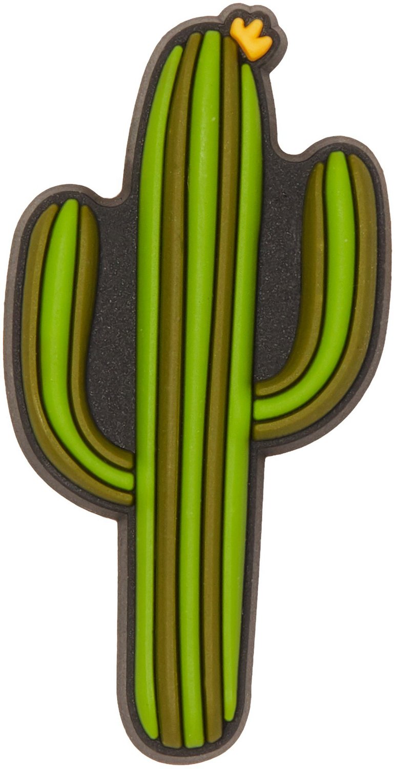 jibbitz cactus