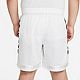 Nike Boys’ Dri-FIT Elite Stripe Basketball Extended Sizing Shorts                                                              - view number 2 image