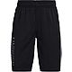 Under Armour Boys' Prototype 2.0 Wordmark Shorts 8.25 in.                                                                        - view number 1 image