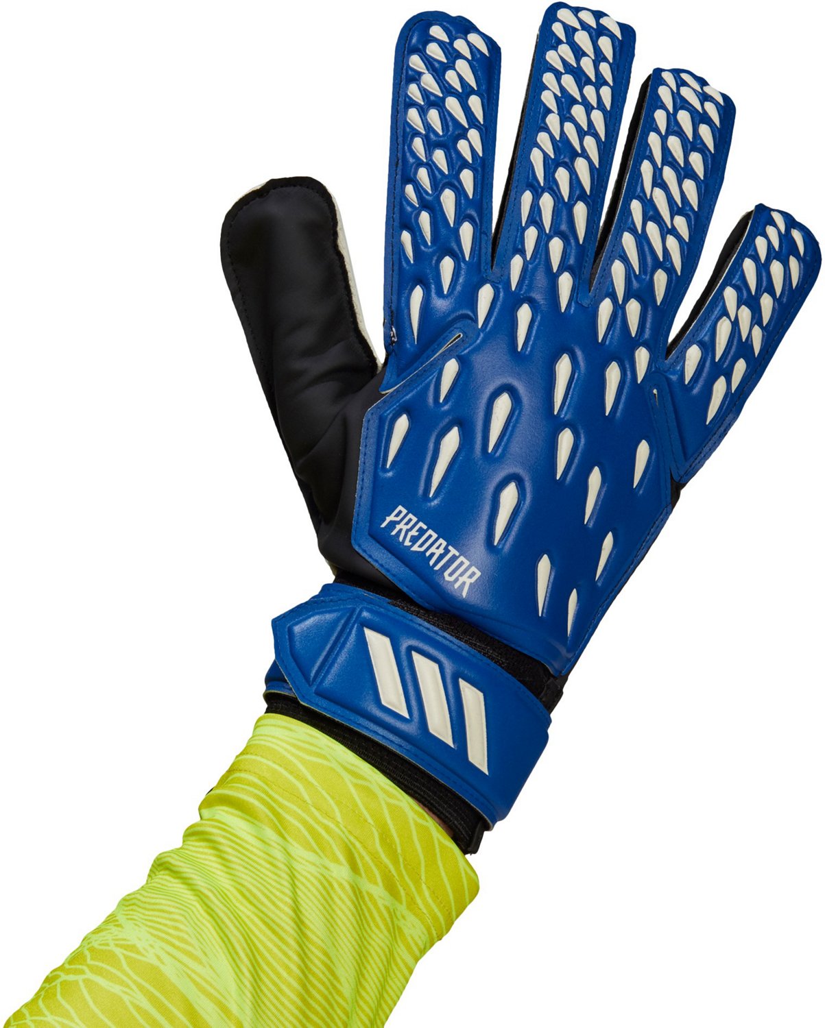predator training goalkeeper gloves