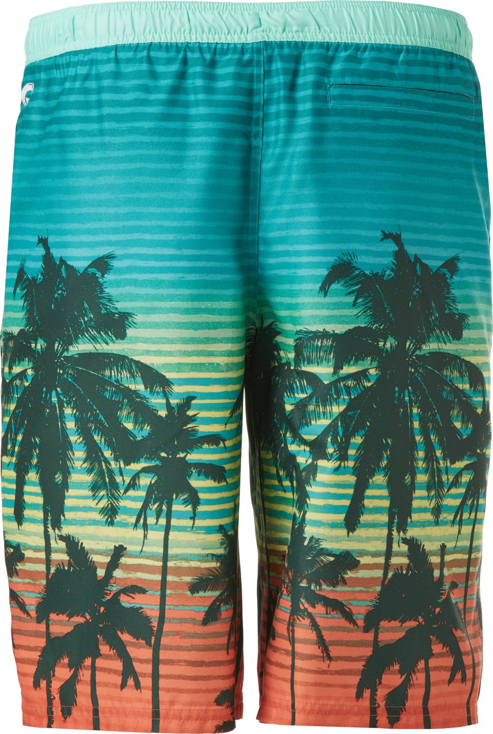 O'Rageous Men's Palm Sunset Stripe Fade E Board Shorts Academy
