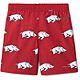 Columbia Sportswear Boys' University of Arkansas Backcast Printed Shorts 5 in                                                    - view number 2 image