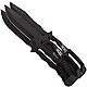 SOG Throwing Knives 3-Pack                                                                                                       - view number 1 image