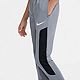 Nike Boys' Sport Poly Extended Sizing Pants                                                                                      - view number 3 image