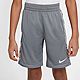 Nike Boys' Dri-FIT Trophy AOP Training Shorts                                                                                    - view number 1 image