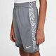 Nike Boys' Dri-FIT Trophy AOP Training Shorts                                                                                    - view number 2 image