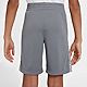 Nike Boys' Dri-FIT Trophy AOP Training Shorts                                                                                    - view number 3 image