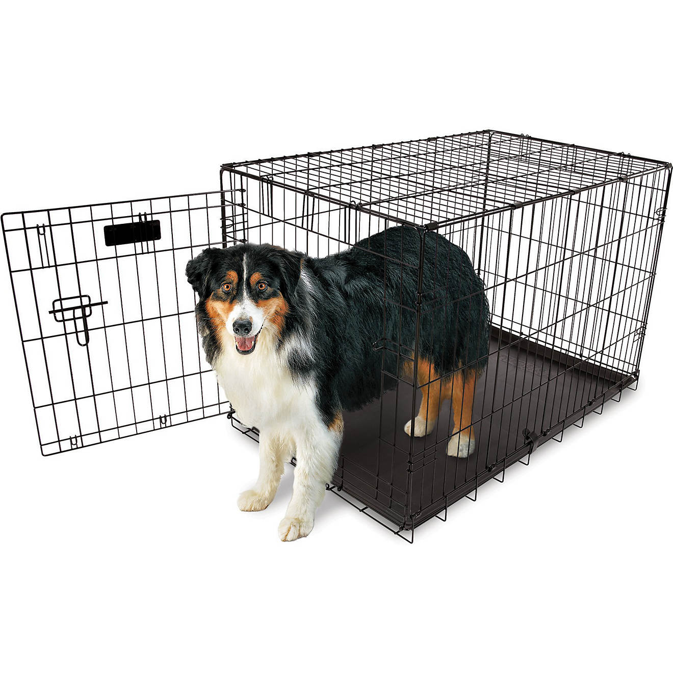 Aspen Pet 36 in Home Training Wire Kennel                                                                                        - view number 1
