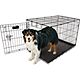 Aspen Pet 36 in Home Training Wire Kennel                                                                                        - view number 1 image
