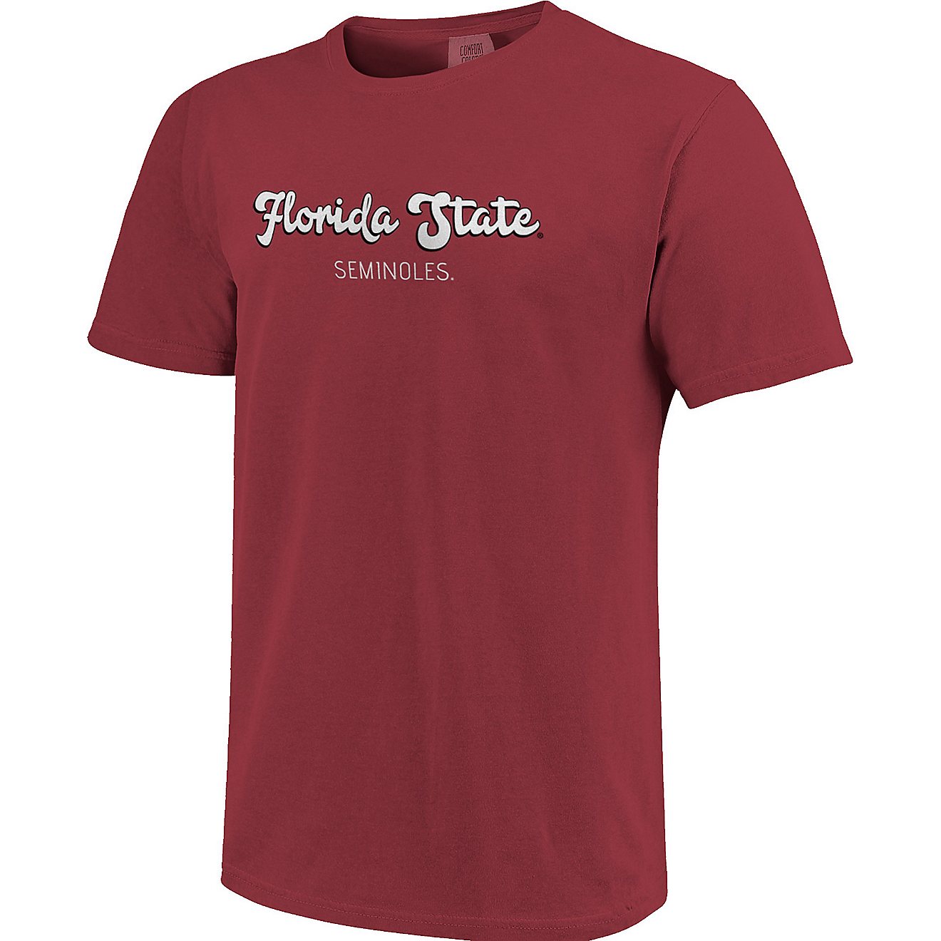 Image One Women's Florida State University Comfort Color Retro Script State Pattern Short Sleeve T-shirt                         - view number 3