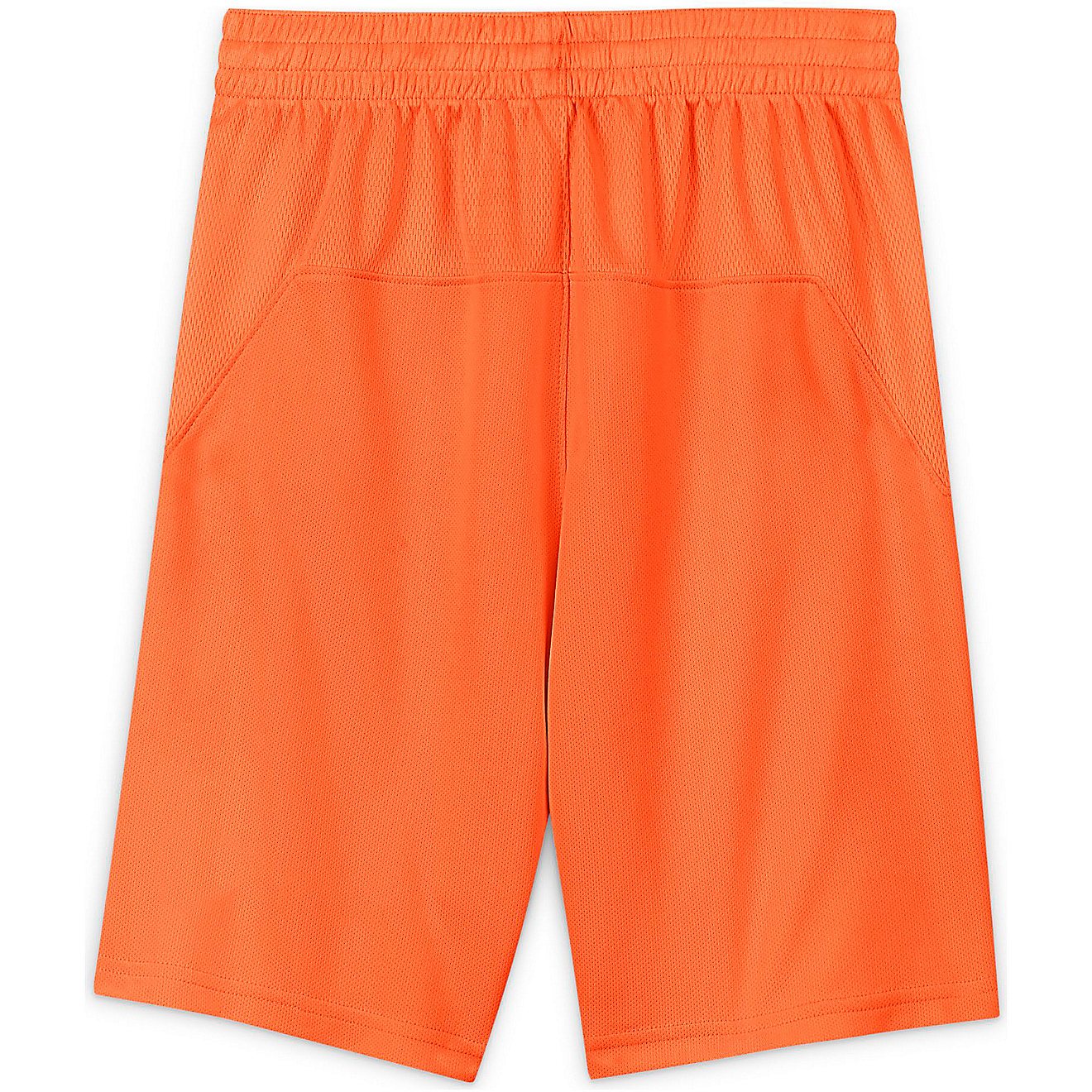 Nike Boys' Dri-FIT HBR Shorts                                                                                                    - view number 6