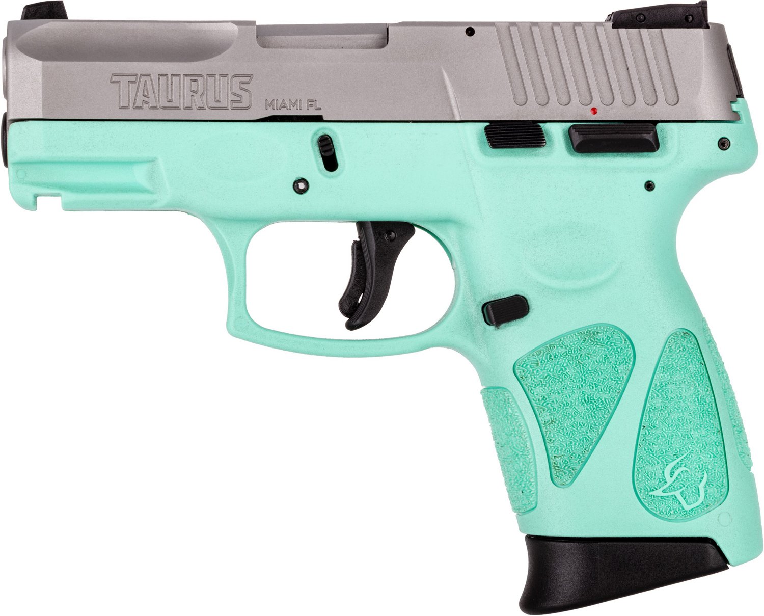 Taurus G2C SS Restrike 9mm Pistol | Academy