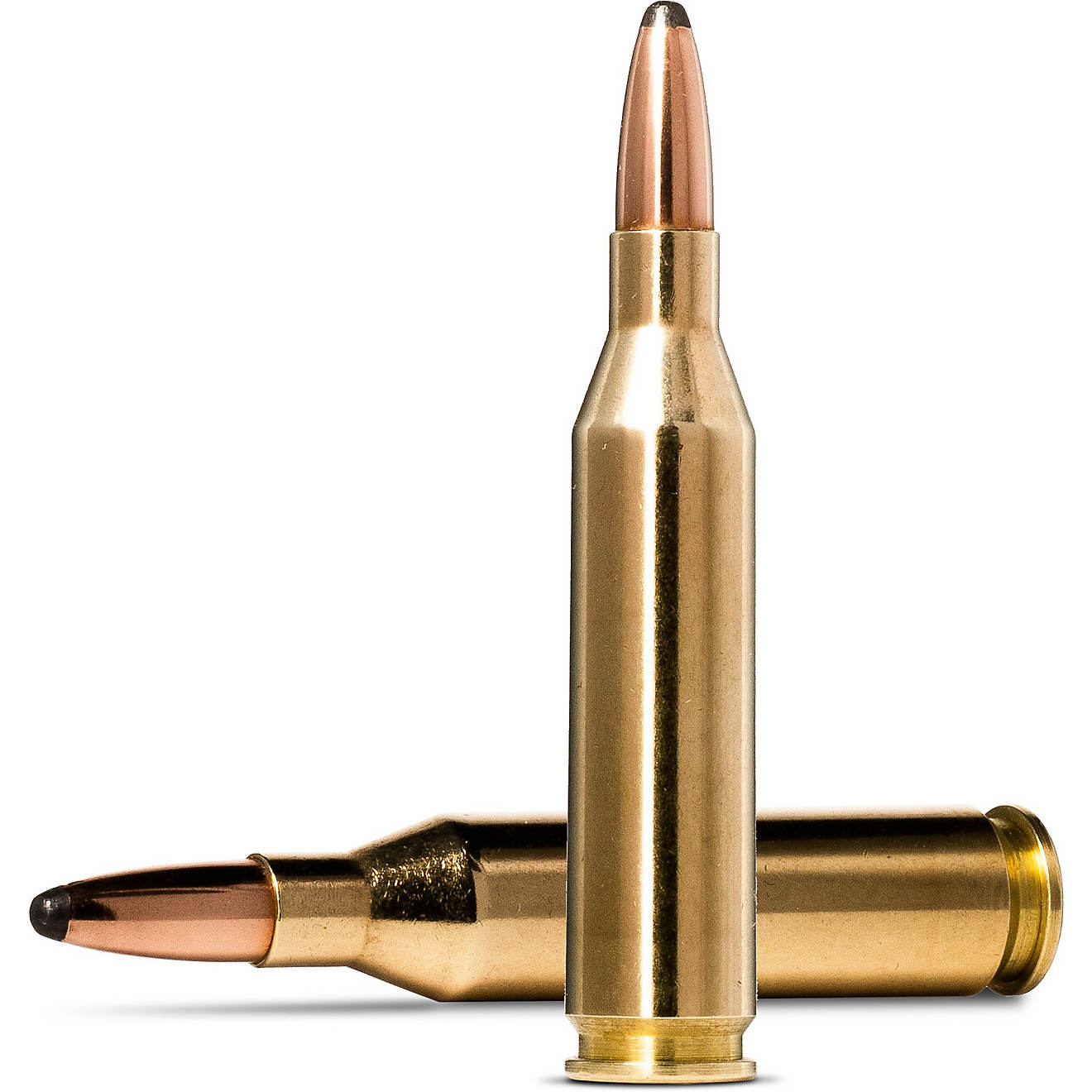 Norma USA Whitetail .243 Winchester 100-Grain Centerfire Rifle Ammunition - 20 Rounds                                            - view number 1