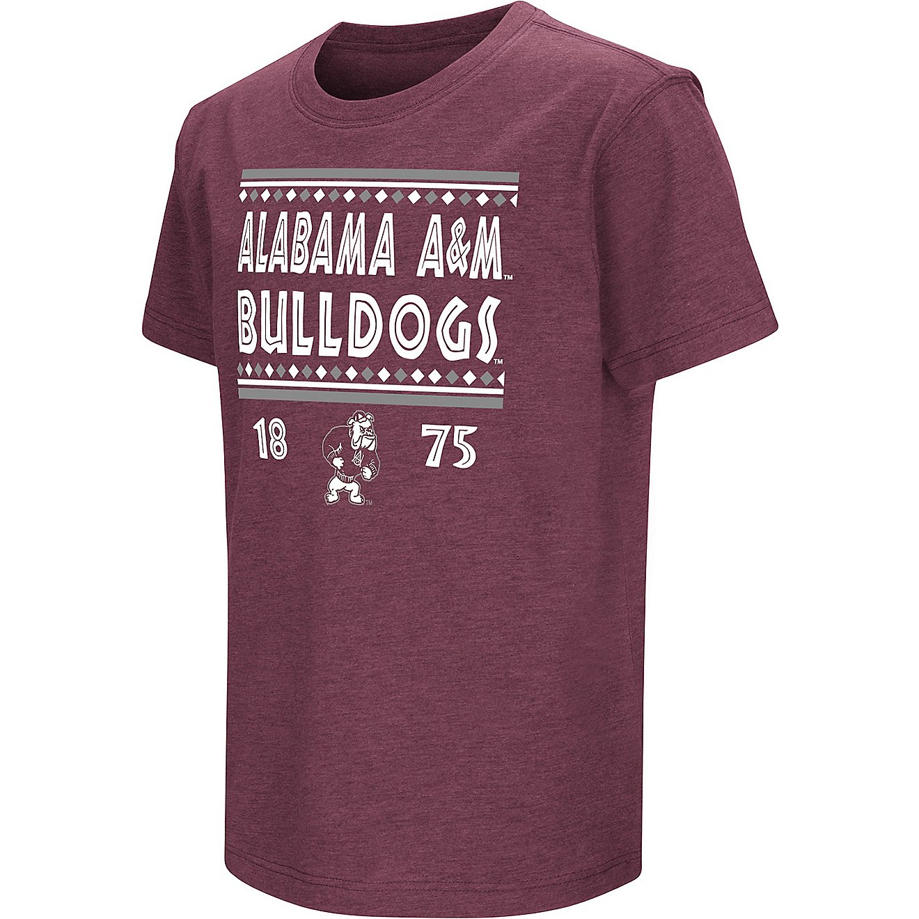 Colosseum Athletics Youth Alabama A&M University NOW Playbook T-Shirt                                                            - view number 1