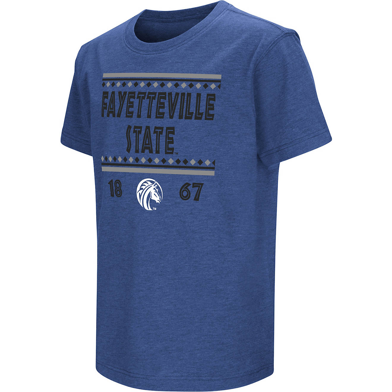 Colosseum Athletics Boys' Fayetteville State University NOW Playbook T-shirt                                                     - view number 1