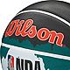 Wilson NBA DRV Pro Drip Series Outdoor Basketball                                                                                - view number 5 image