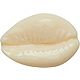 Crocs Jibbitz Puka Shell Charm - view number 2 image