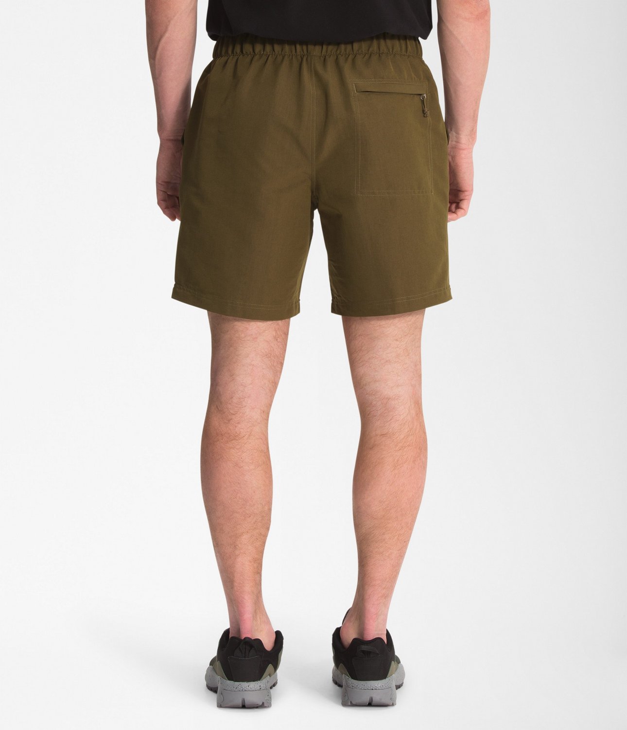 the north face classic v shorts