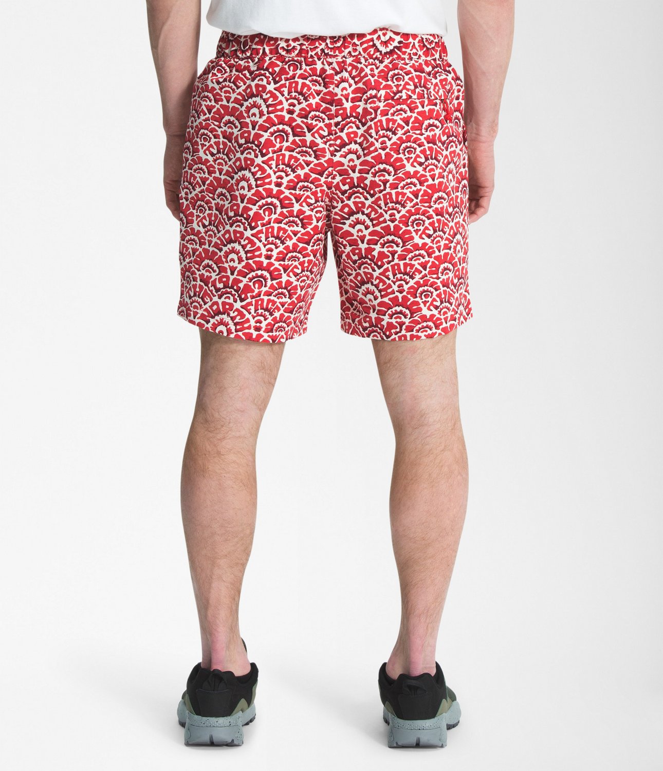 the north face classic v shorts