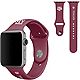 Prime Brands Group Texas A&M University 38 mm Apple Watchband                                                                    - view number 1 image
