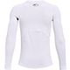 Under Armour Boys' ColdGear Armour Long Sleeve T-Shirt                                                                           - view number 2 image