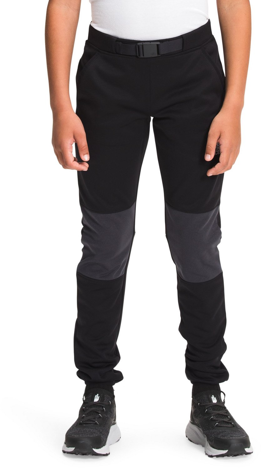 the north face tnl joggers