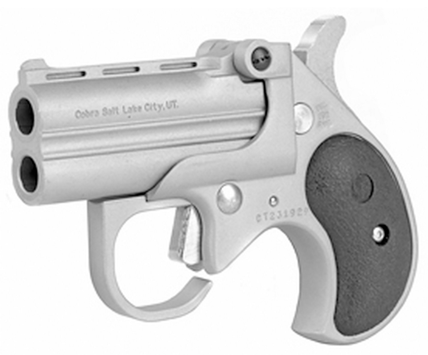 Cobra BBG38SB Derringer Big Bore 38 Special Pistol Academy
