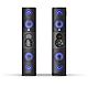 Altec Lansing Party Duo Tower Speaker Set with 2 Wired Microphones                                                               - view number 1 image