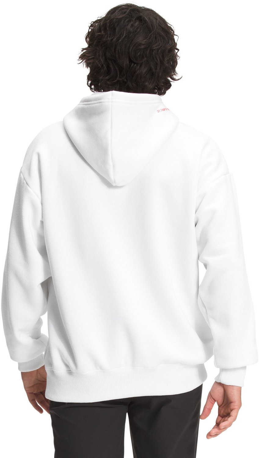 The North Face Men's Coordinates Pullover Hoodie | Academy