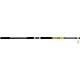 Ugly Stick Bigwater 12 ft H Surf Spinning Rod                                                                                    - view number 1 image