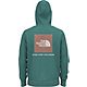 The North Face Men's Box NSE Pullover Hoodie                                                                                     - view number 1 image