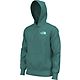 The North Face Men's Box NSE Pullover Hoodie                                                                                     - view number 3 image