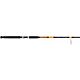 Ugly Stik Bigwater Boat SPIN Spinning Rod                                                                                        - view number 1 image