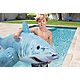 H2OGO! Realistic Shark Ride-On Pool Inflatable                                                                                   - view number 2 image