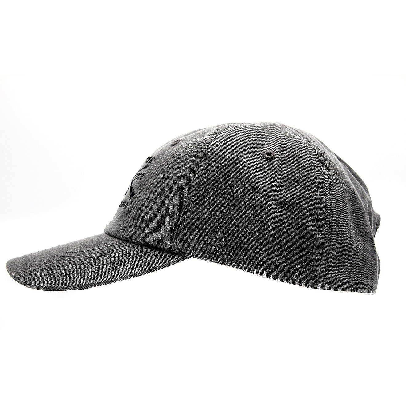 Grunt Style Men's Washed Logo Cap                                                                                                - view number 2
