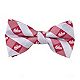 Eagle Wings Men's University of Indiana Checkered Bowtie                                                                         - view number 1 image