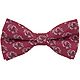 Eagles Wings University of South Carolina Woven Polyester Repeat Bow Tie                                                         - view number 1 image