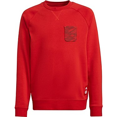 adidas Boys' Bayern Munich Football Club Crew Sweatshirt