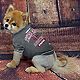 Pets First Texas A&M University Pet T-shirt                                                                                      - view number 2 image