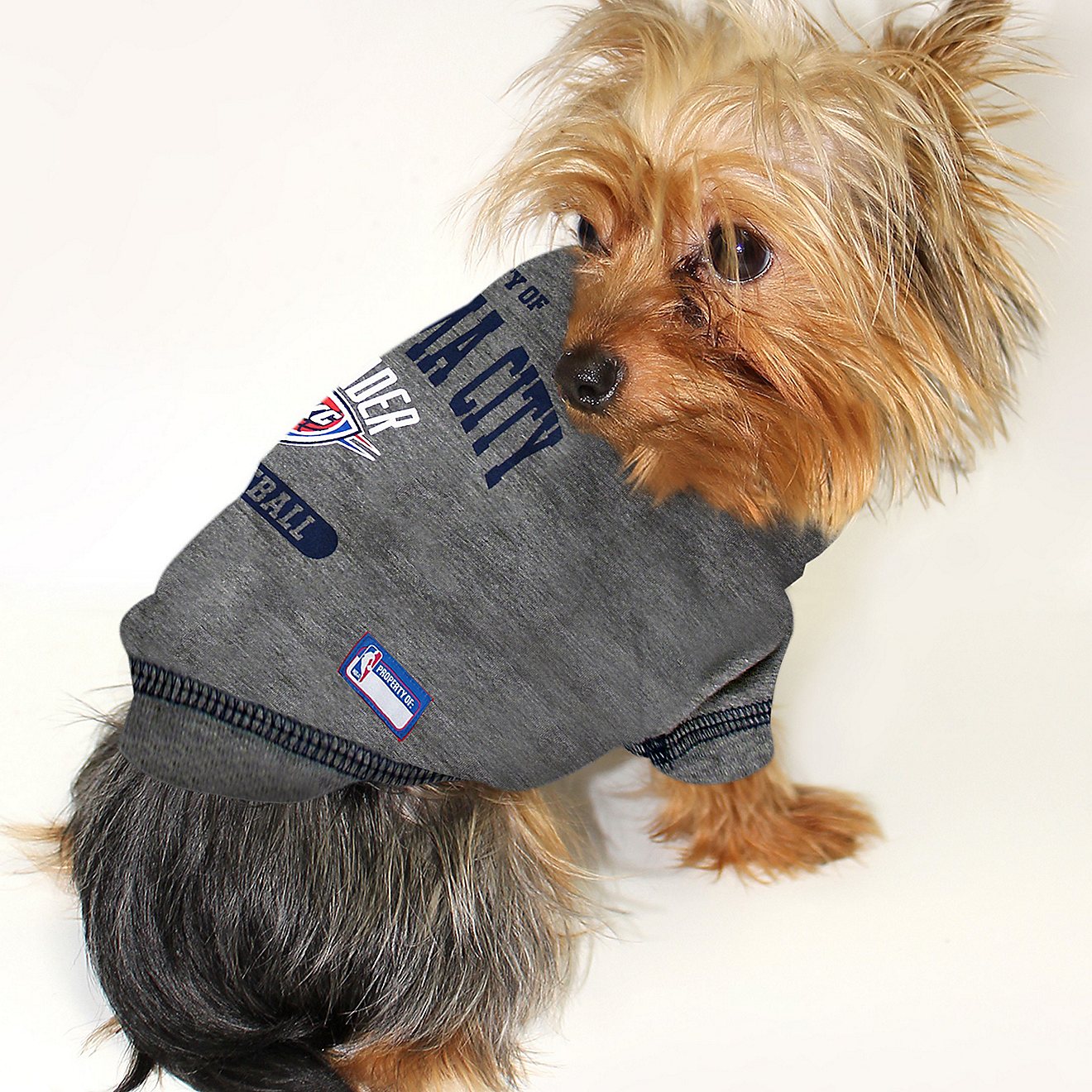 Pets First Oklahoma City Thunder Pet T-shirt                                                                                     - view number 2